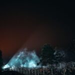 12.11.2021. Granica polsko-białoruska. Działania służb w polskim pasie granicznym / DWOT