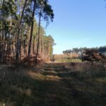 10.11.2021. Michałów. Uroczyste otwarcie szlaku konnego / Marta Gajda-Kruk / Radio Kielce