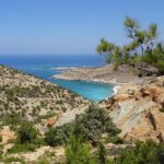 Gawdos / Małgorzata Gębska