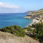 Gawdos / Małgorzata Gębska