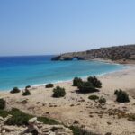 Gawdos / Małgorzata Gębska