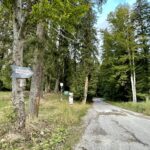 Rumunia / Joanna Dąbek