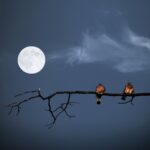 03.12.2012. Kielce. Prace laureatów konkursu fotograficznego „Życie jest piękne”. Nagroda 2. Krzysztof Zając / KCK