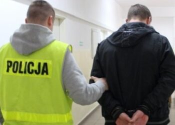 Ten przestępca ukrywał się się od 2004 roku. Złapali go kryminalni ze Szwederowa / KWP Bydgoszcz