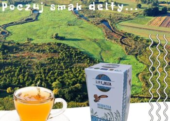 Na zdjęciu: herbatka z Delty Nidy / Zespół Świętokrzyskich i Nadnidziańskich Parków Krajobrazowych