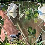 28.12.2021. Sędziszów. Ruchoma szopka / ks. Edward Giemza