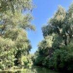 Rumunia / Joanna Dąbek