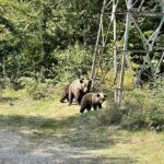 Rumunia / Joanna Dąbek