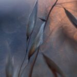 03.12.2012. Kielce. Prace laureatów konkursu fotograficznego „Życie jest piękne”. Nagroda 3. Justyna Słuchocka / KCK