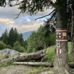 Rumunia / Joanna Dąbek