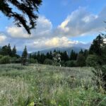 Rumunia / Joanna Dąbek