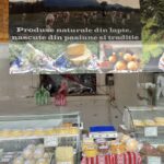 Rumunia / Joanna Dąbek