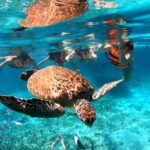 Meksyk / Magda i Bartek Stolarczykowie