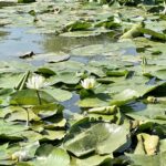 Rumunia / Joanna Dąbek