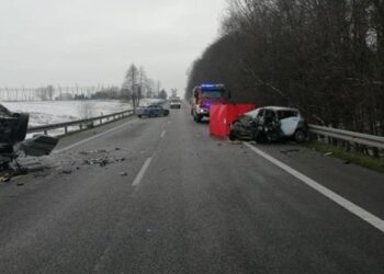 policja