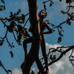 03.12.2012. Kielce. Prace laureatów konkursu fotograficznego „Życie jest piękne”. Nagroda 8. Jakub Rybicki / KCK