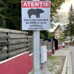 Rumunia / Joanna Dąbek