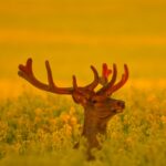 03.12.2012. Kielce. Prace laureatów konkursu fotograficznego „Życie jest piękne”. Nagroda 9. Wieńczysław Rak / WIENCZYSLAW RAK / KCK