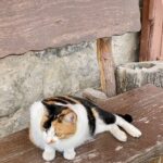 Rumunia / Joanna Dąbek