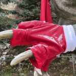 06.12.2021. Bałtów. Allozaur Gerard w mikołajkowym przebraniu / Emilia Sitarska / Radio Kielce