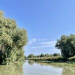 Rumunia / Joanna Dąbek