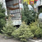 To ostatni moment na zakup choinki