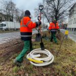 01.12.2021. Kielce. Sadzenie drzew / Wiktor Taszłow / Radio Kielce