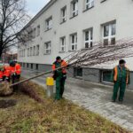 01.12.2021. Kielce. Sadzenie drzew / Wiktor Taszłow / Radio Kielce