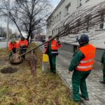 01.12.2021. Kielce. Sadzenie drzew / Wiktor Taszłow / Radio Kielce