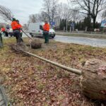 01.12.2021. Kielce. Sadzenie drzew / Wiktor Taszłow / Radio Kielce