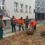 01.12.2021. Kielce. Sadzenie drzew / Wiktor Taszłow / Radio Kielce