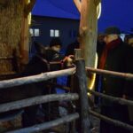 22.12.2021. Sandomierz. Szopka z żywymi zwierzętami / ks. Grzegorz Słodkowski