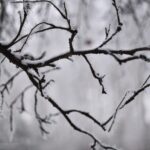 Magdalena Galas-Klusek / Radio Kielce