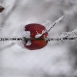 Magdalena Galas-Klusek / Radio Kielce