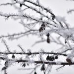 Magdalena Galas-Klusek / Radio Kielce