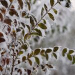 Magdalena Galas-Klusek / Radio Kielce