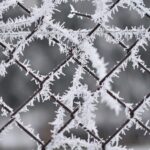 Magdalena Galas-Klusek / Radio Kielce