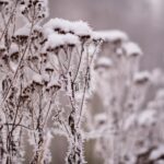 Magdalena Galas-Klusek / Radio Kielce