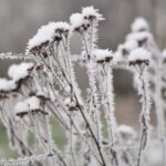 Magdalena Galas-Klusek / Radio Kielce