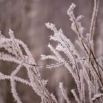 Magdalena Galas-Klusek / Radio Kielce