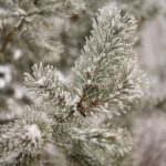 Magdalena Galas-Klusek / Radio Kielce