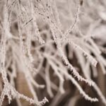 Magdalena Galas-Klusek / Radio Kielce