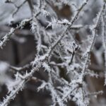 Magdalena Galas-Klusek / Radio Kielce