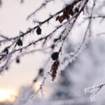 Magdalena Galas-Klusek / Radio Kielce