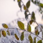 Magdalena Galas-Klusek / Radio Kielce