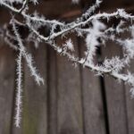 Magdalena Galas-Klusek / Radio Kielce