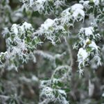 Magdalena Galas-Klusek / Radio Kielce