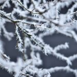 Magdalena Galas-Klusek / Radio Kielce