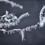 Magdalena Galas-Klusek / Radio Kielce