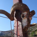 Kreta / Małgorzata Gębska